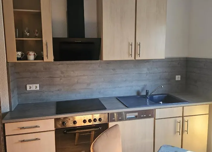 Daire Neu! Elsteraue Og Rechts Elsteraue